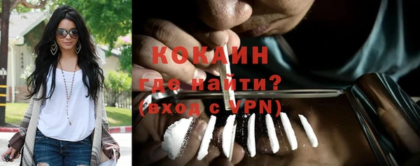 молекула духа Вязьма
