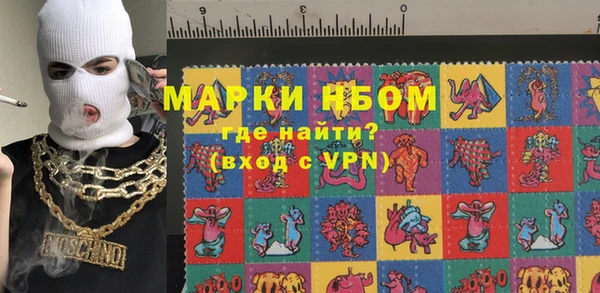 молекула духа Вязьма