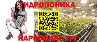 спайс Аргун