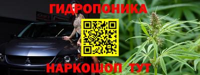 спайс Аргун