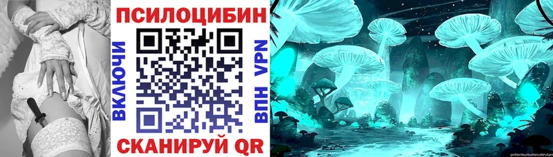 Галлюциногенные грибы Magic Shrooms  Купить  Домодедово 