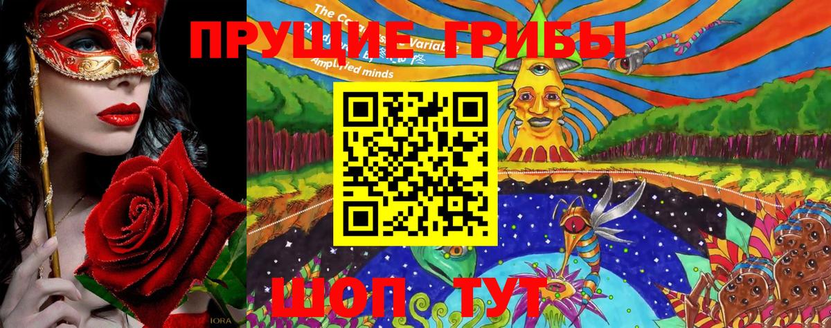 Галлюциногенные грибы Psilocybe  Вход с VPN  Домодедово 