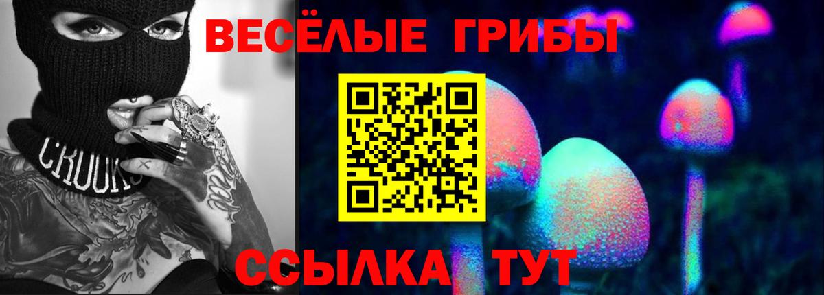 хочу   Домодедово  Псилоцибиновые грибы мухоморы 